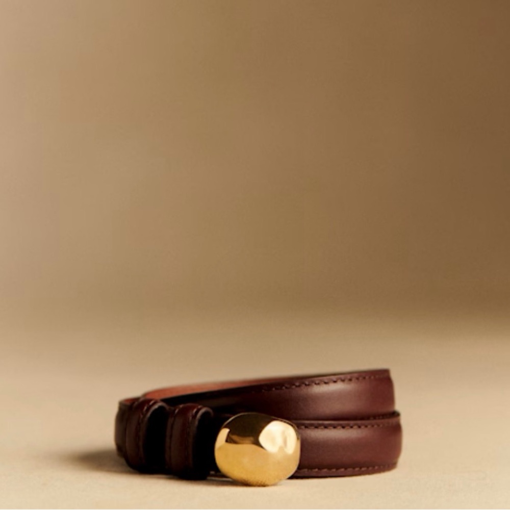 Sezane Glossy Brown Lisa Belt